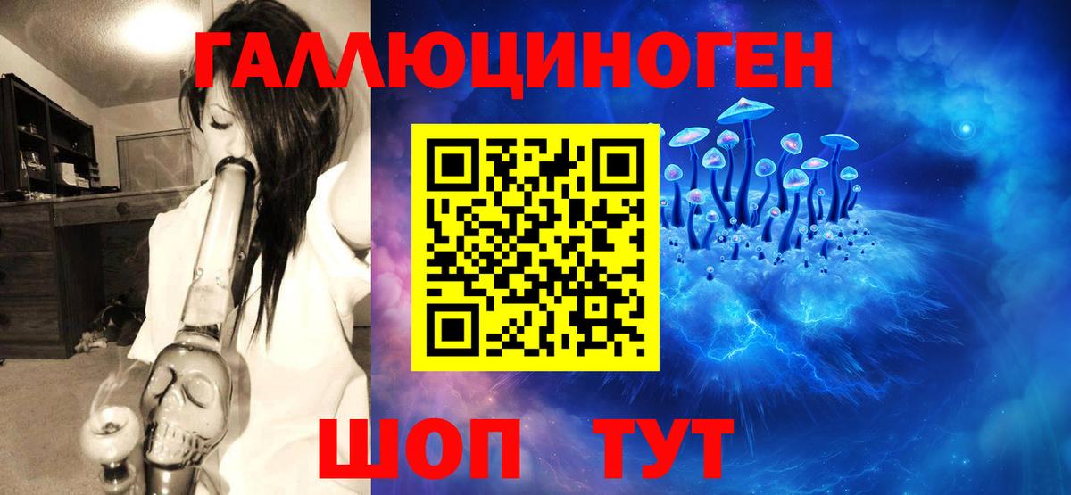 Галлюциногенные грибы Cubensis  Вход с VPN  Псилоцибиновые грибы Psilocybe  Клинцы 